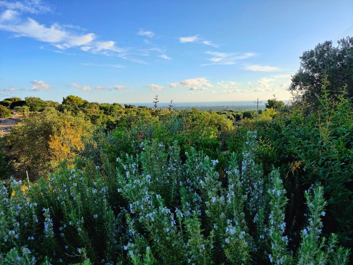 Villa Mest Pepp Monopoli Exteriér fotografie